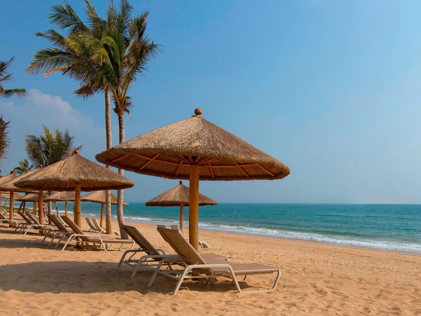 Palm-shaded beach along Yalong Bay in Sanya
