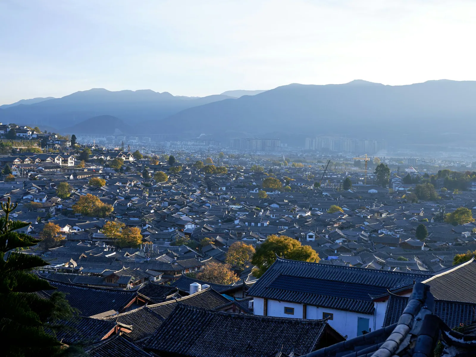 Tiled rooftops across Lijiang old town