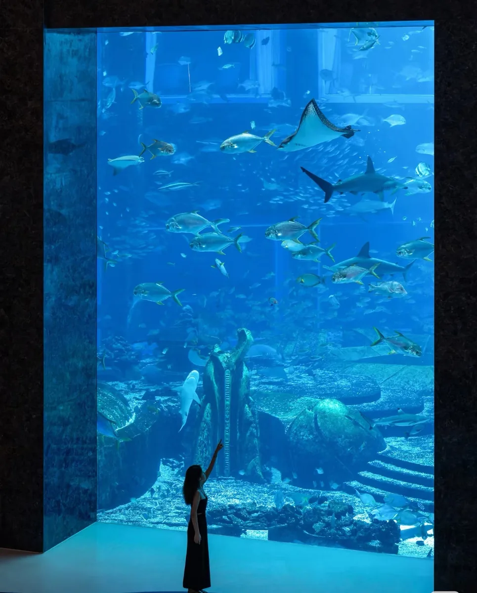 The Lost Chambers aquarium