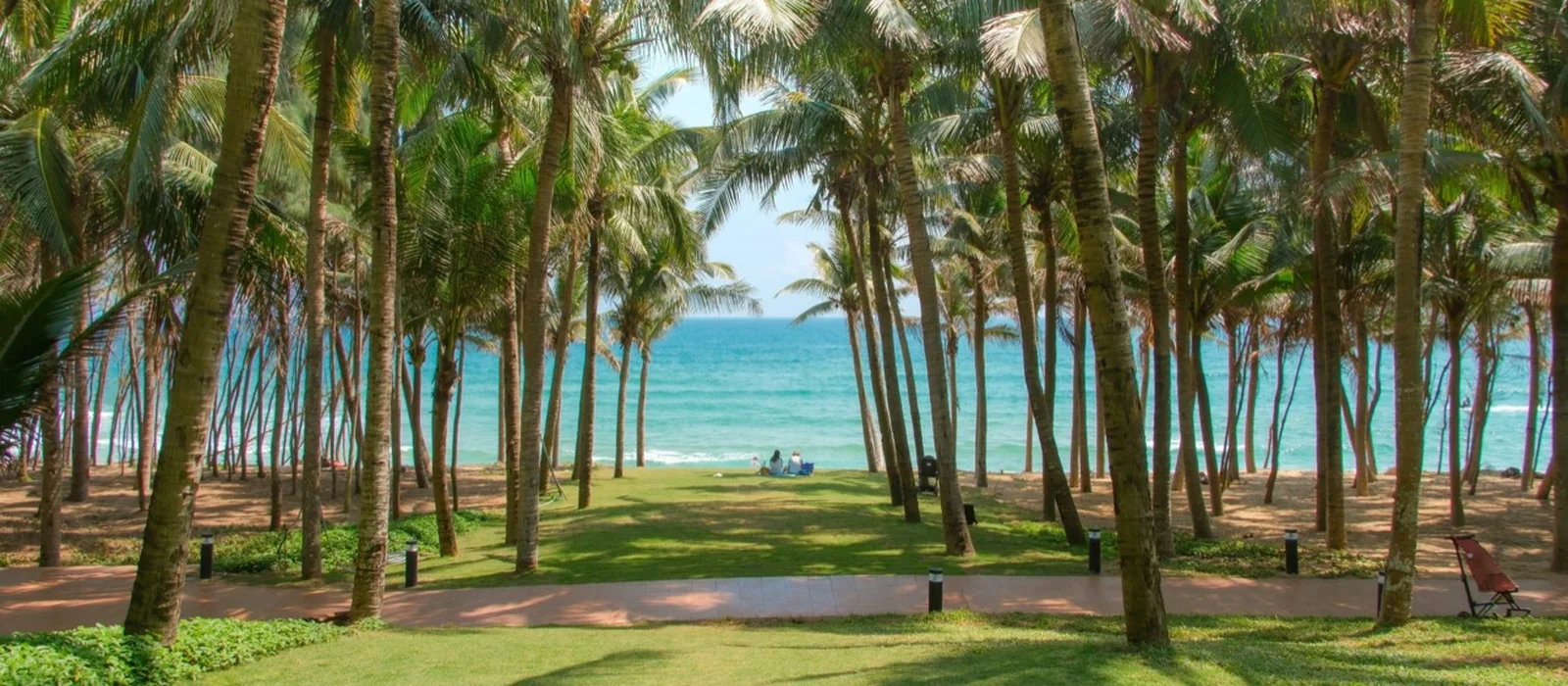 A palm grove beside turquoise water on Hainan's coast