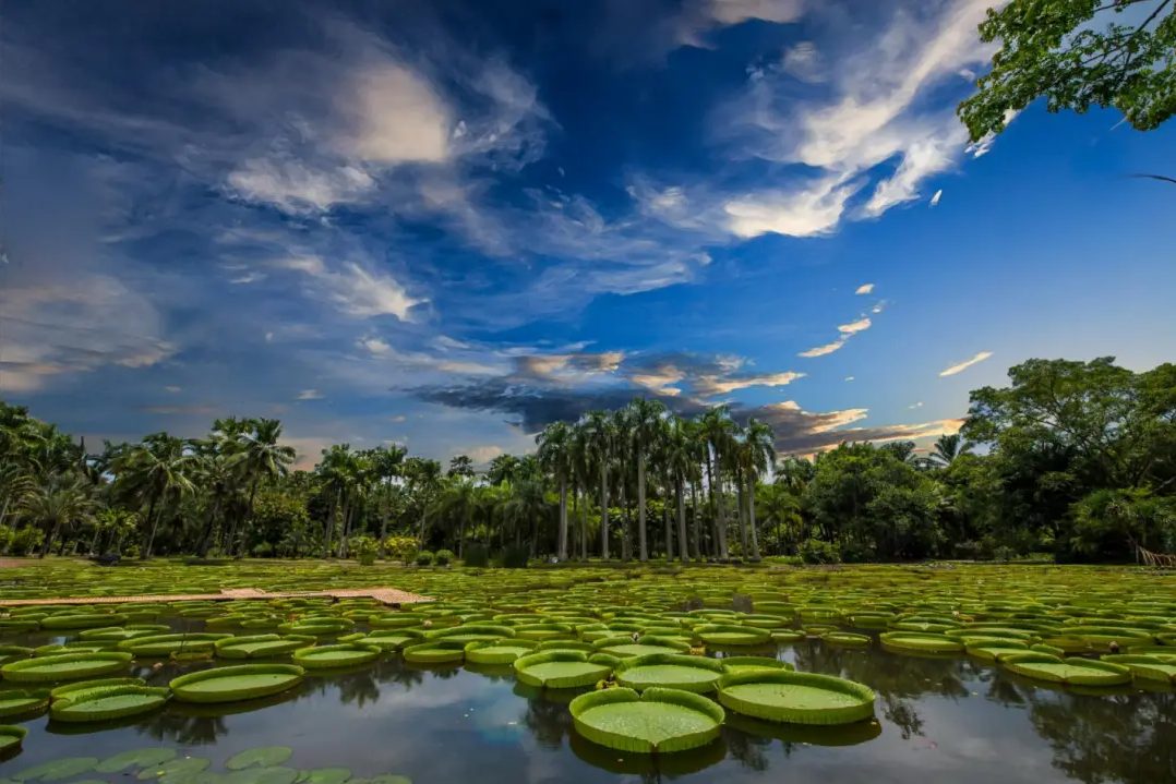 Sichuan and Yunnan Discovery day 16 itinerary image 1