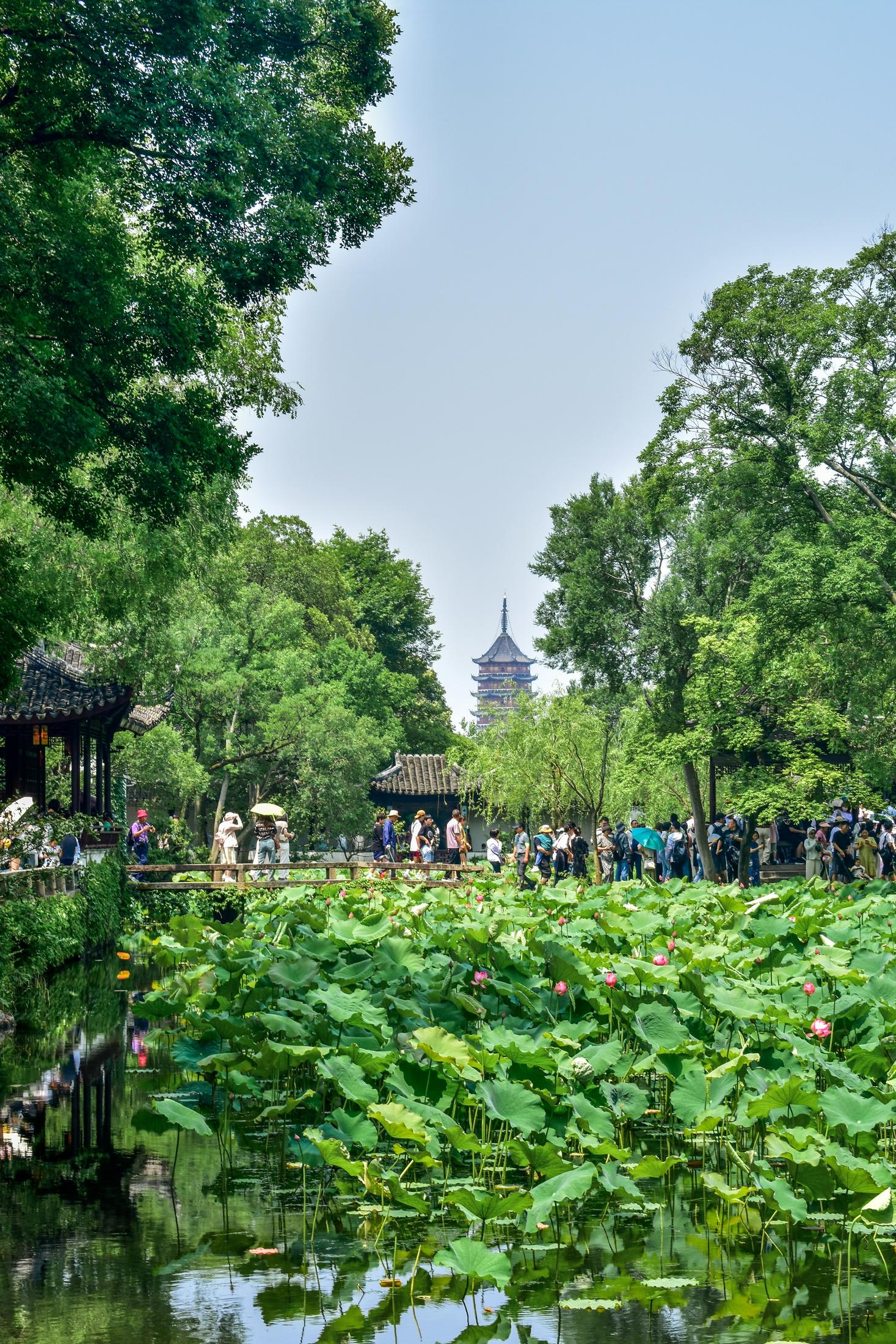Classical garden in Suzhou