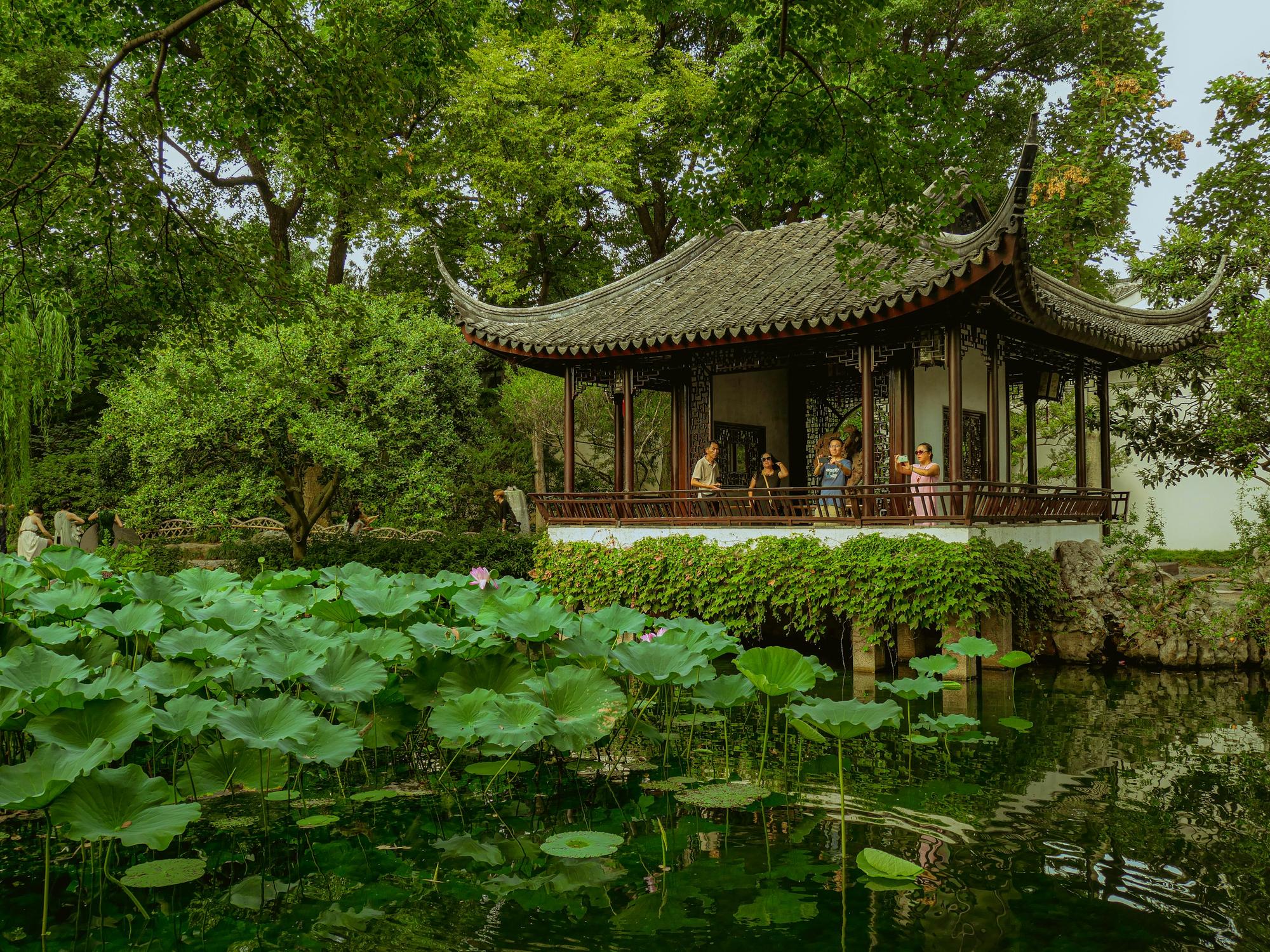 Classical garden pond in Suzhou
