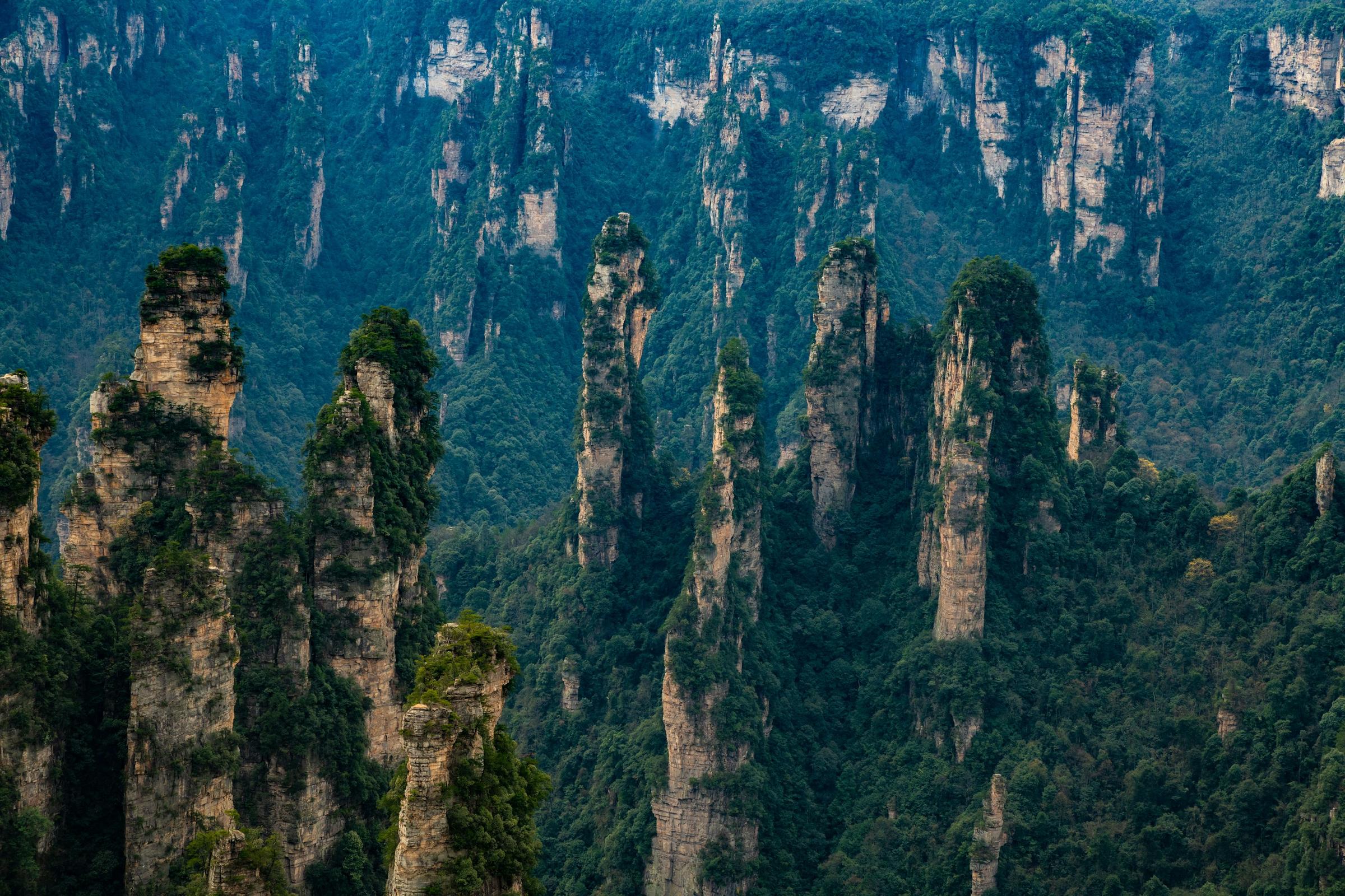 Sandstone pillars rising through Zhangjiajie National Forest Park