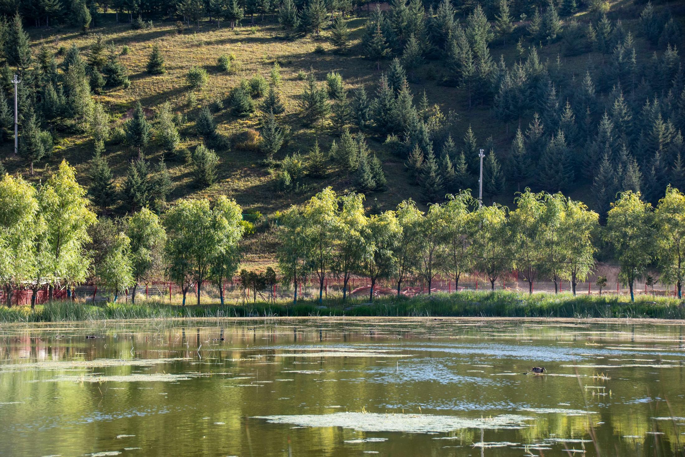 Green hills and water near Lijiang in Yunnan