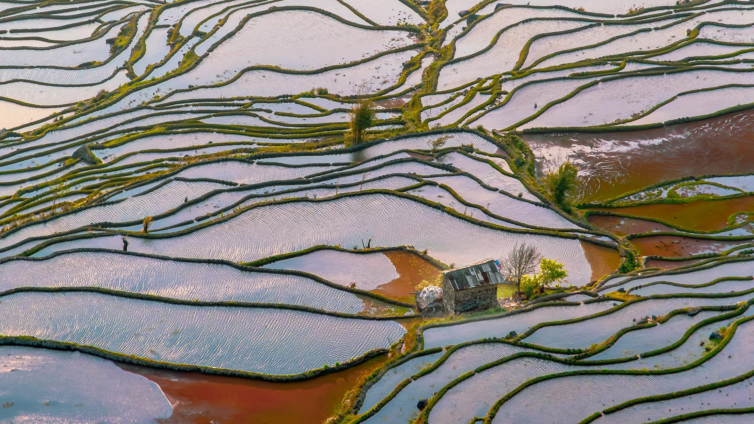 Yunnan landscape terraces