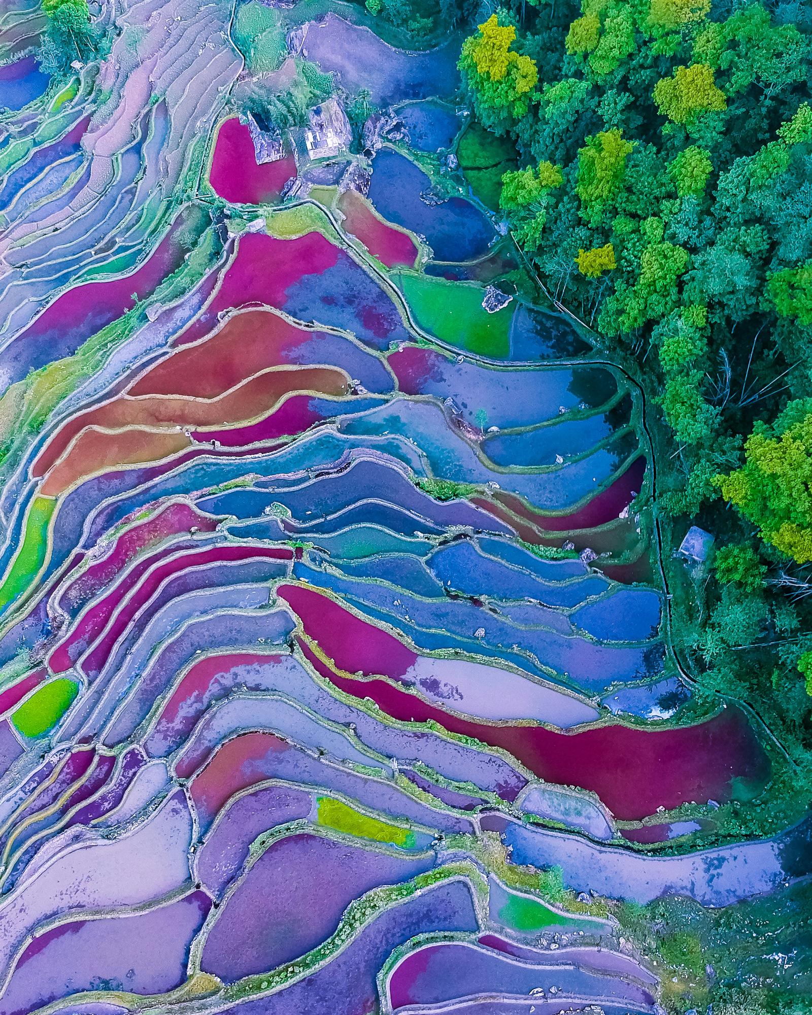 Layered rice terraces across Yunnan's mountain slopes