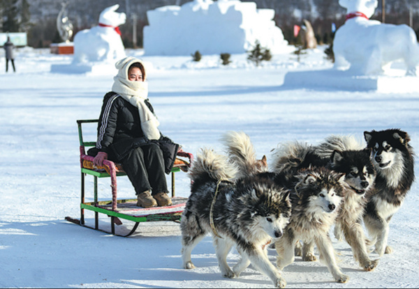 Dog sledge on the frozen Songhua River, Harbin
