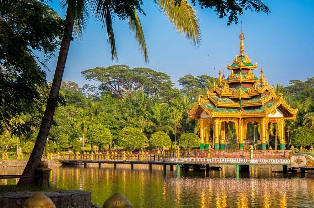 Walk Among Giants at the Xishuangbanna Tropical Botanical Garden