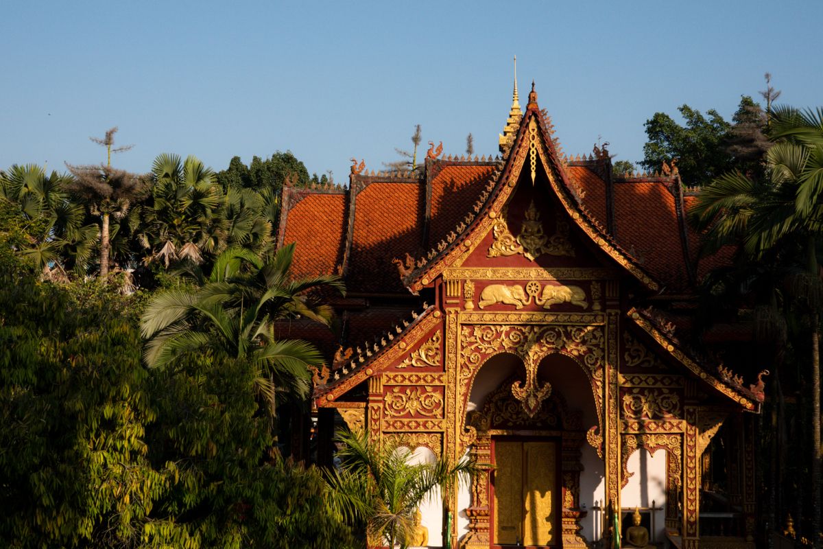 Tropical Winter Escape: Neon Nights, Emerald Jungles & Riverfront Luxury